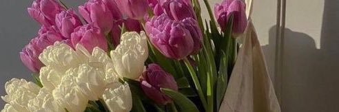 alishaa1907's profile banner image