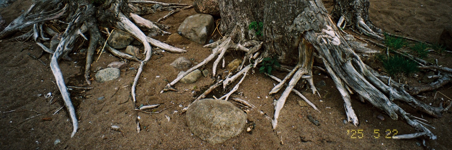 berezovsky_e's profile banner image