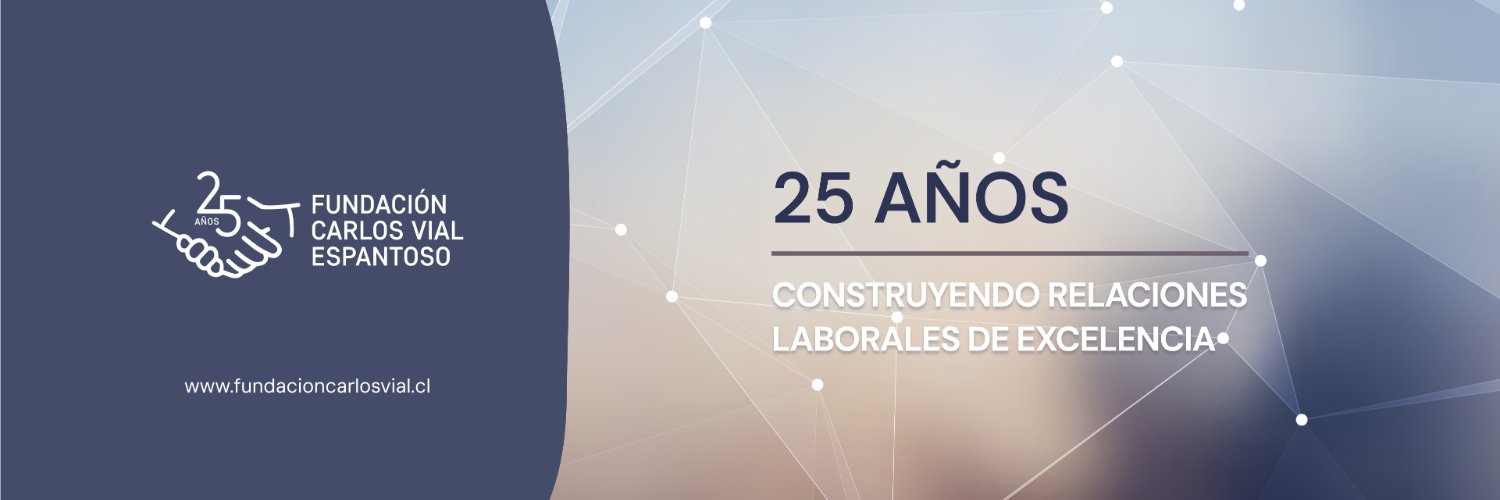 Fundación Carlos Vial Espantoso banner