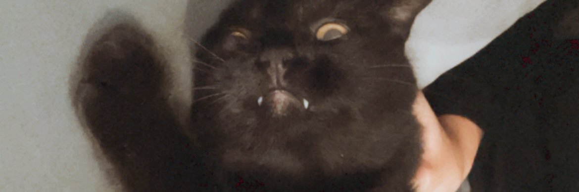 olmeta_m's profile banner image