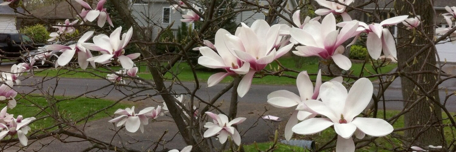 CJM_Fonthill's profile banner image