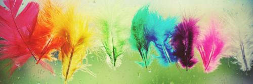 TuTeTiñes? banner