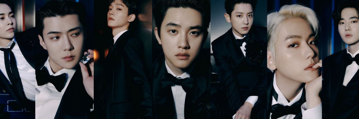 exo_Lpie's profile banner image