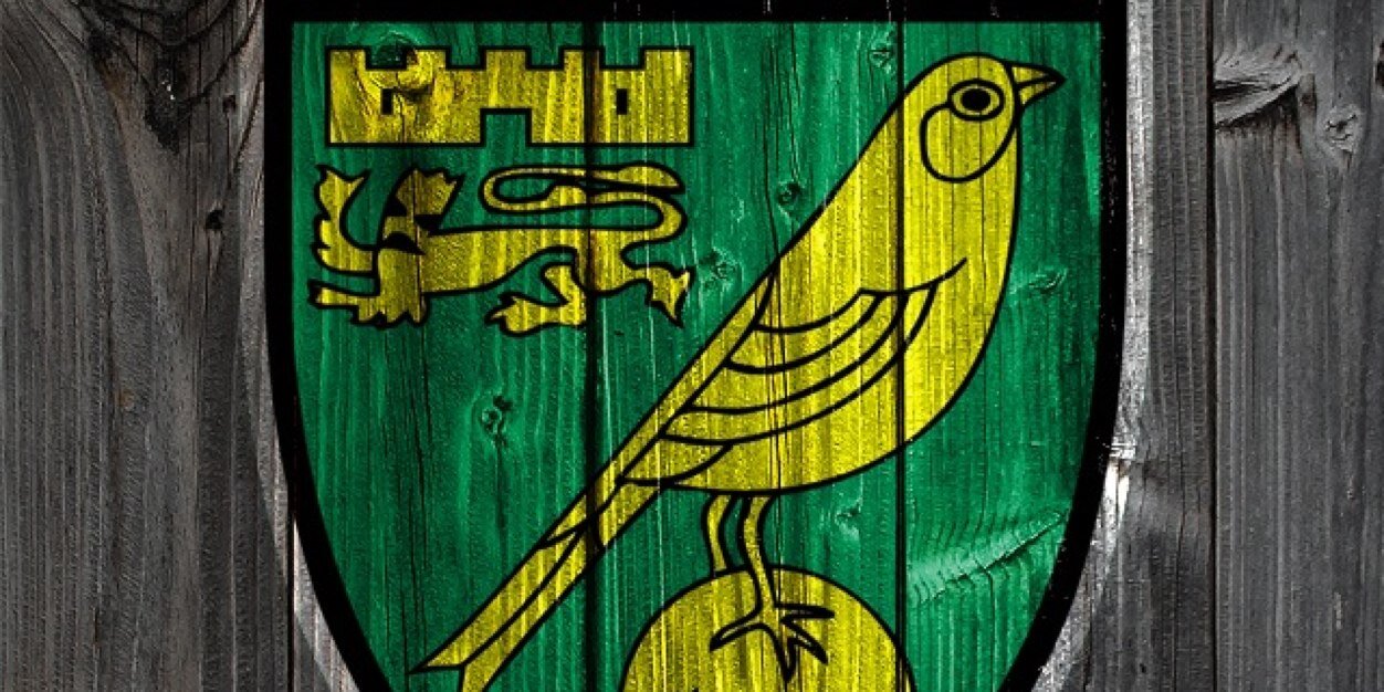 CodeNameCanary's profile banner image