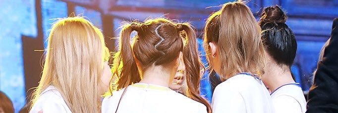 yeri_red__bot's profile banner image
