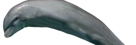 HoepRadriguize's profile banner image