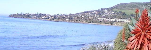 Maureenofthesea's profile banner image