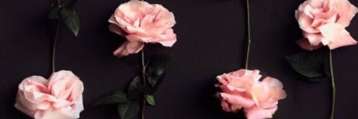 senaocakdan's profile banner image