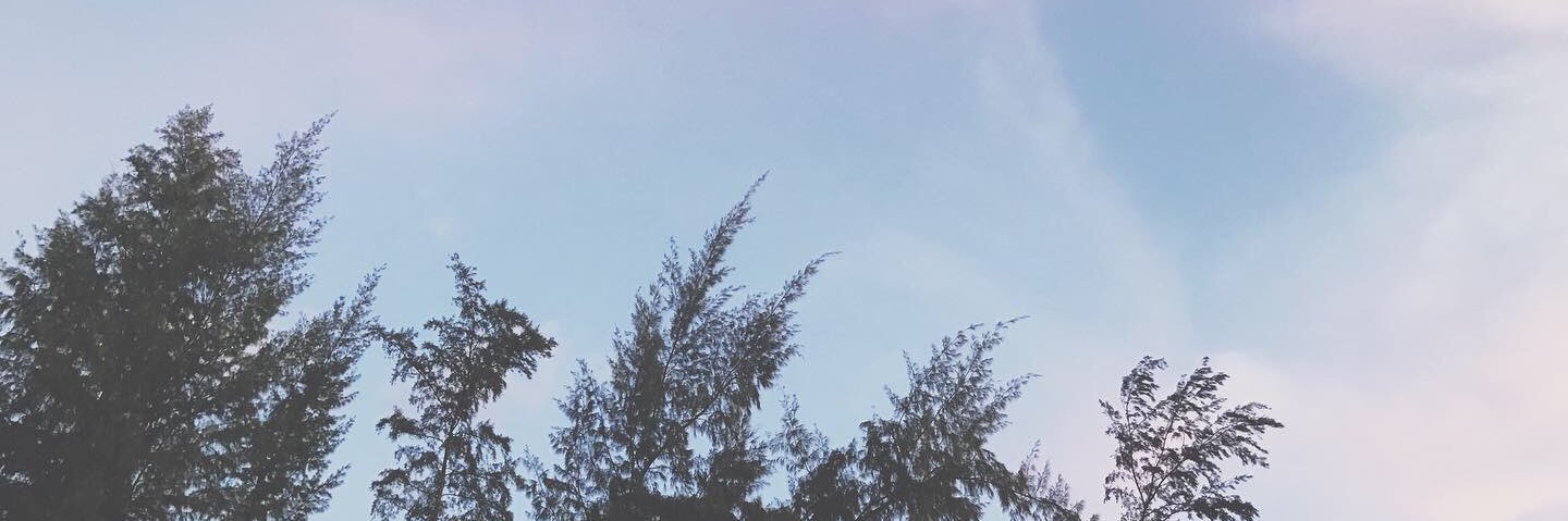 emmaclayton_8's profile banner image