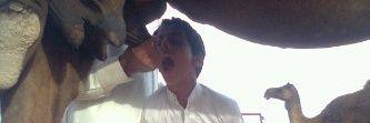 19Bebo18's profile banner image