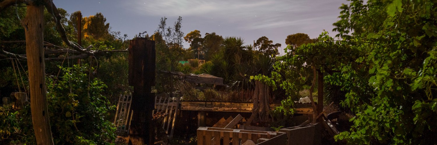 The Evergreen Review banner