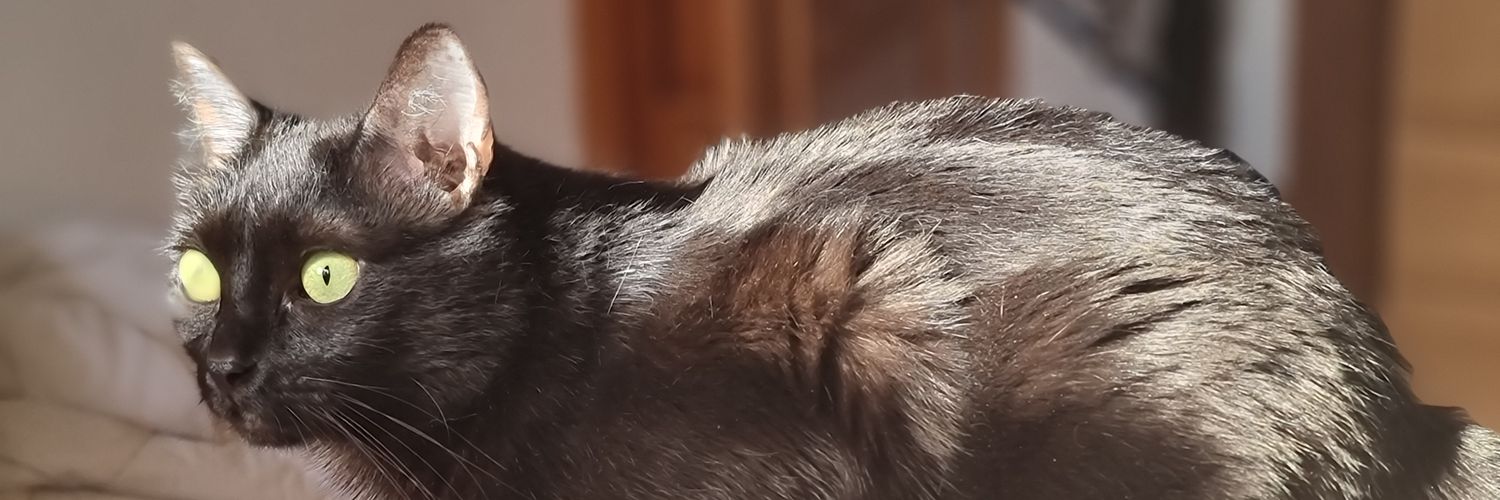 andrescontilde_'s profile banner image