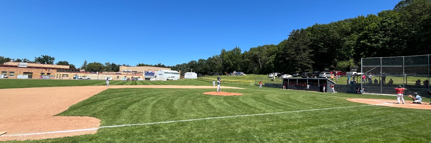 Swanville-Swans banner