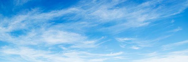 LionHirth Profile Banner