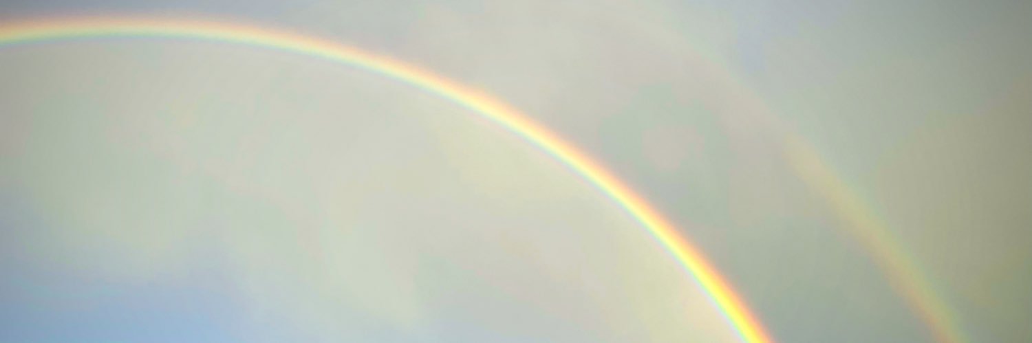 DionneV's profile banner image