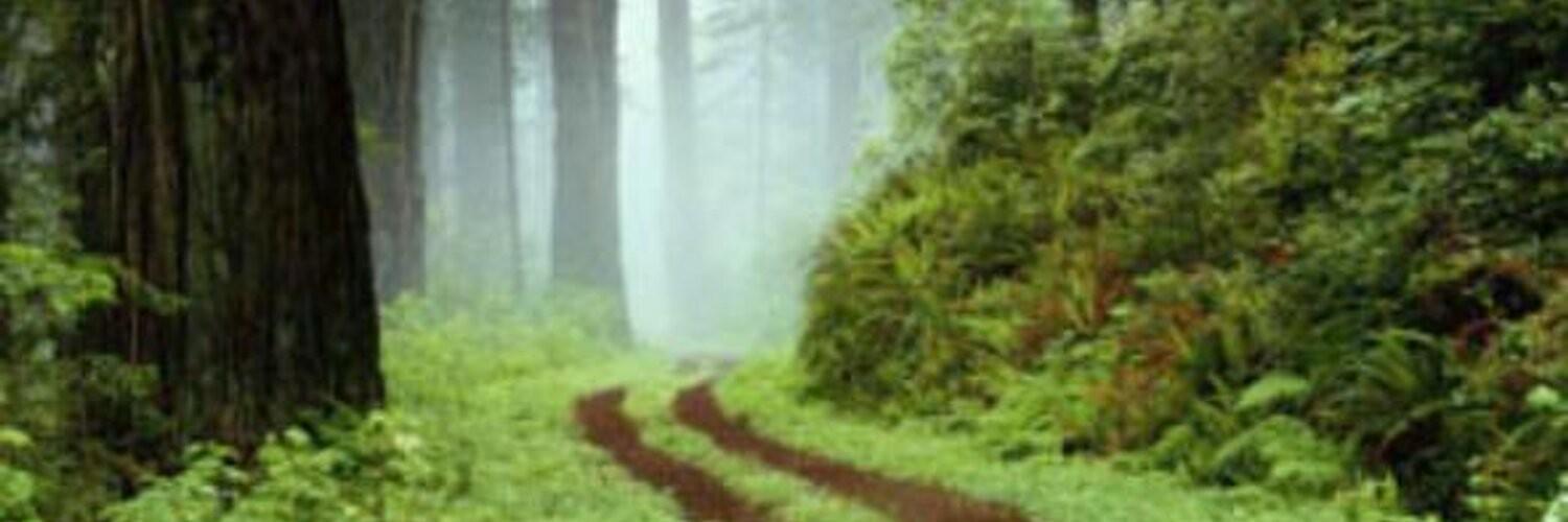 bulbashevg's profile banner image