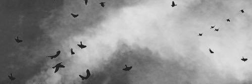 ah70742's profile banner image
