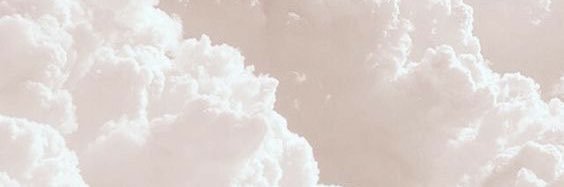 vanekinns's profile banner image