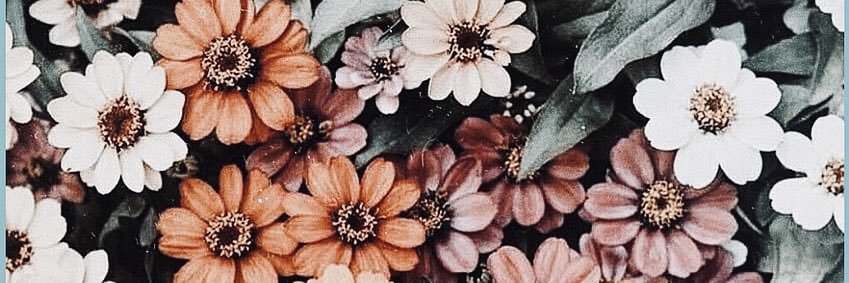 lea_samo's profile banner image