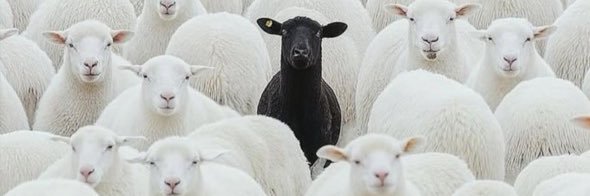 blacksheepgabe's profile banner image