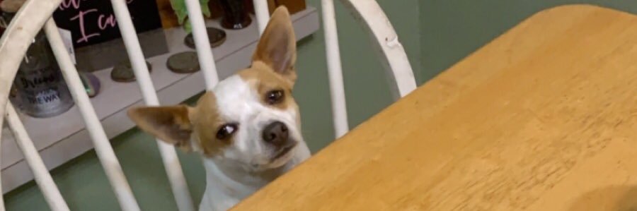 TswagCook's profile banner image