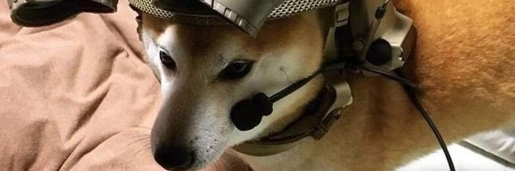 Grdlock_'s profile banner image