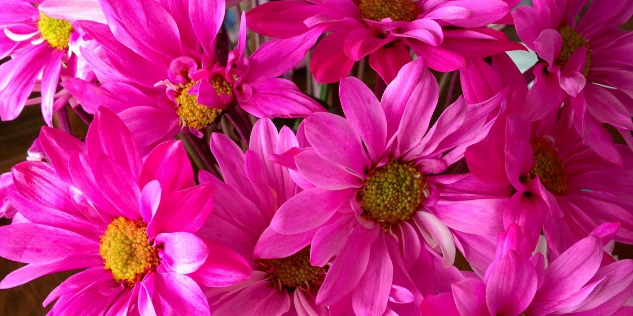 Simpson2ndgrade's profile banner image