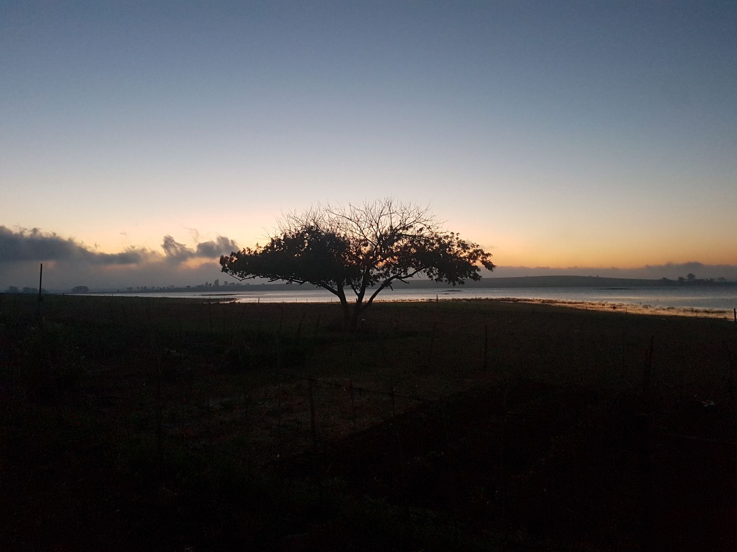 Zuloo91's profile banner image
