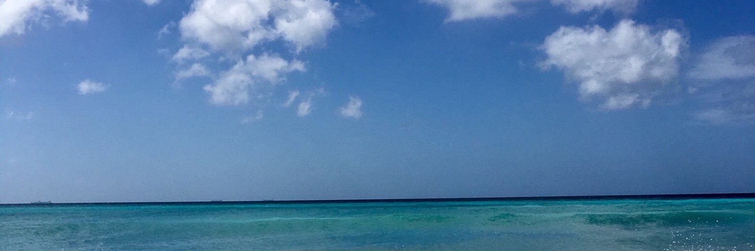 Holiday Goodreau banner