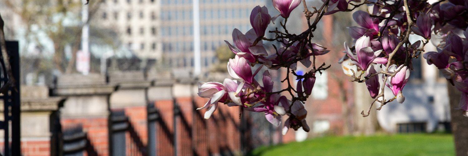WorkingAtBrown's profile banner image