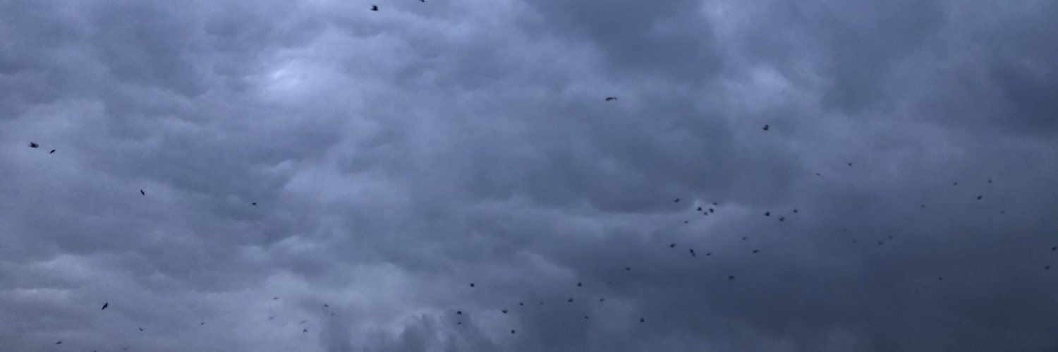applesplatter's profile banner image