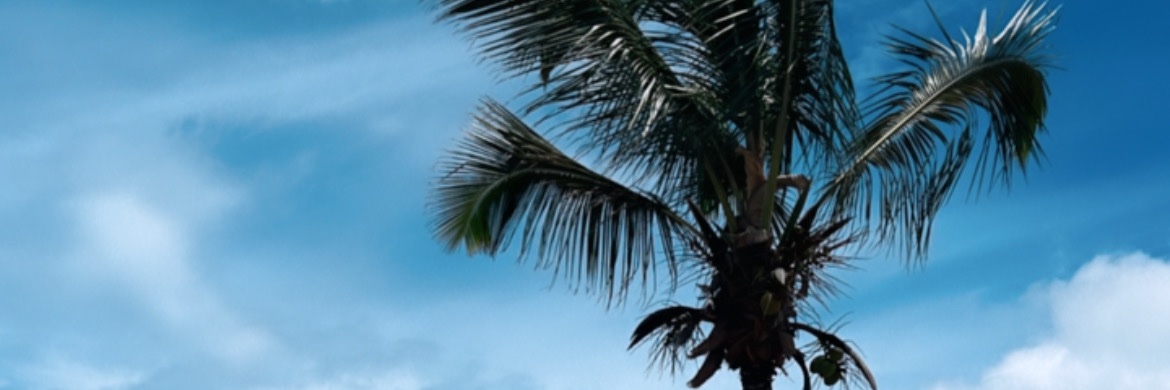 juulliasmith's profile banner image