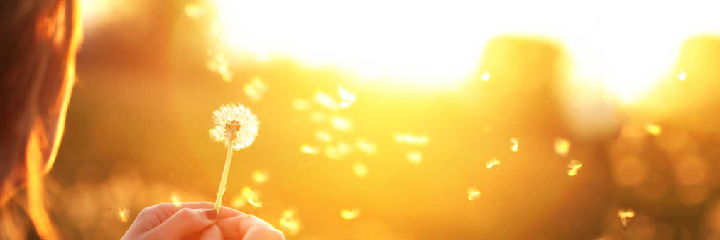 Emswaitandwish's profile banner image