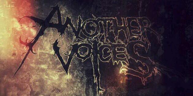 Another Voices banner