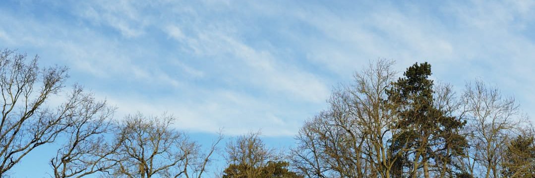 fabert_lisa's profile banner image