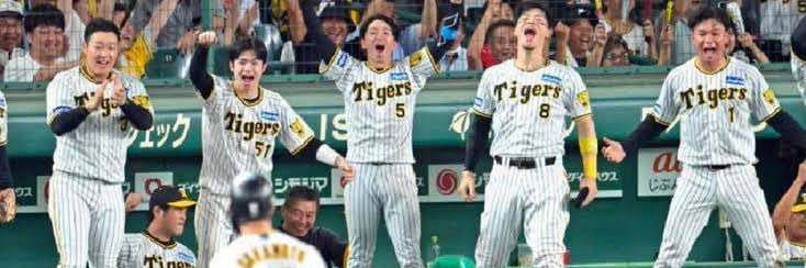 rippitertaiki's profile banner image
