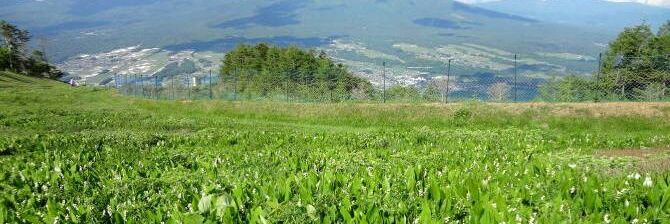 sta76696853's profile banner image