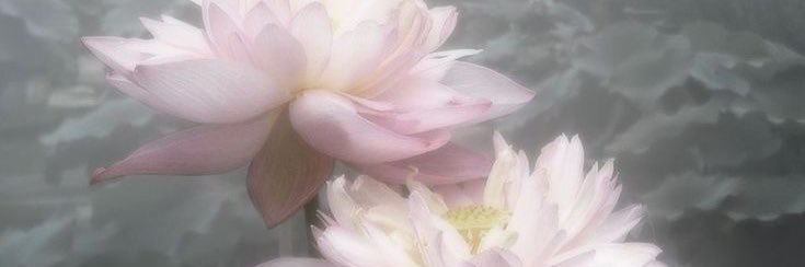 seunbae_'s profile banner image