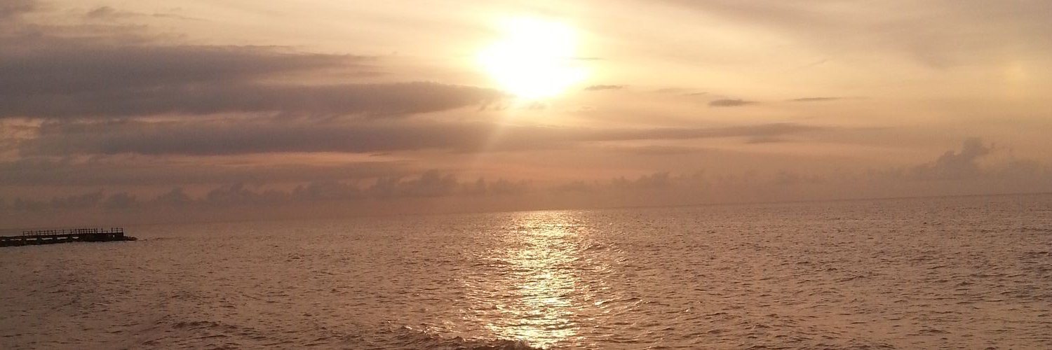 TonyMcFlynn's profile banner image