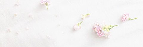 Wn1_26's profile banner image
