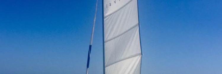 Antonio Scarpa banner