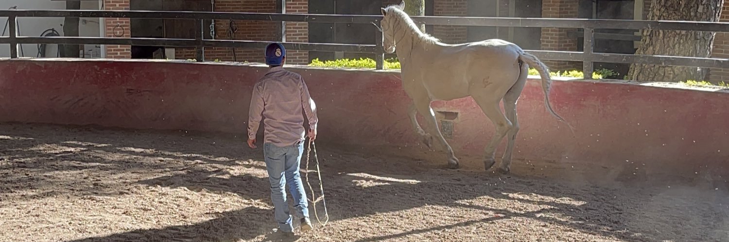 Julio César Botello banner
