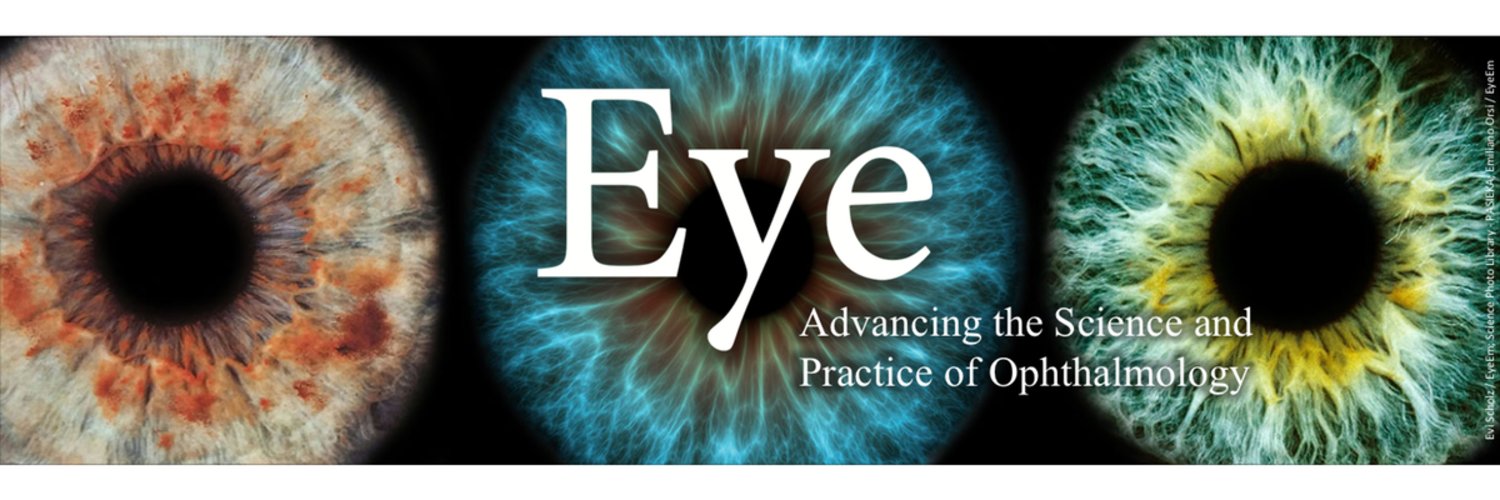Eye Journal's banner