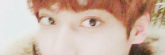 ☞쇼우☜ banner