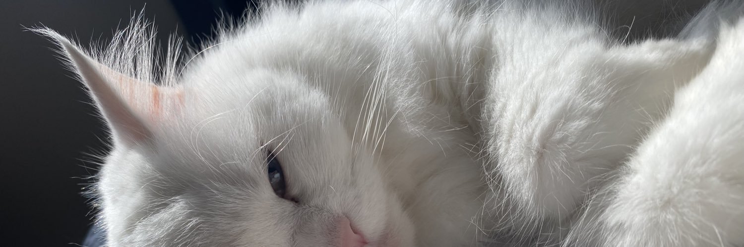 chatalosig's profile banner image