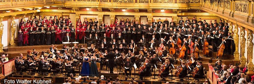 AnapucheSoprano's profile banner image
