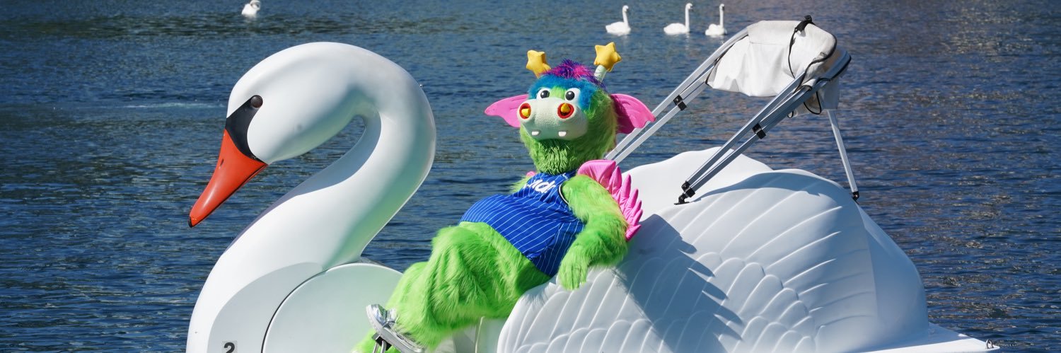 STUFF - Orlando Magic Mascot banner