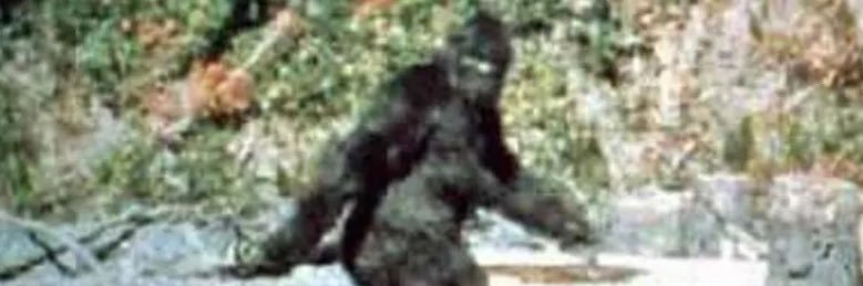 sladeeman's profile banner image