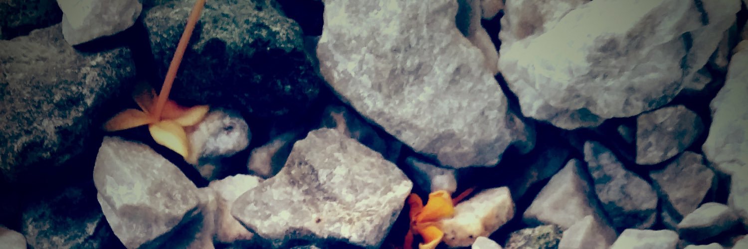 meeko212's profile banner image