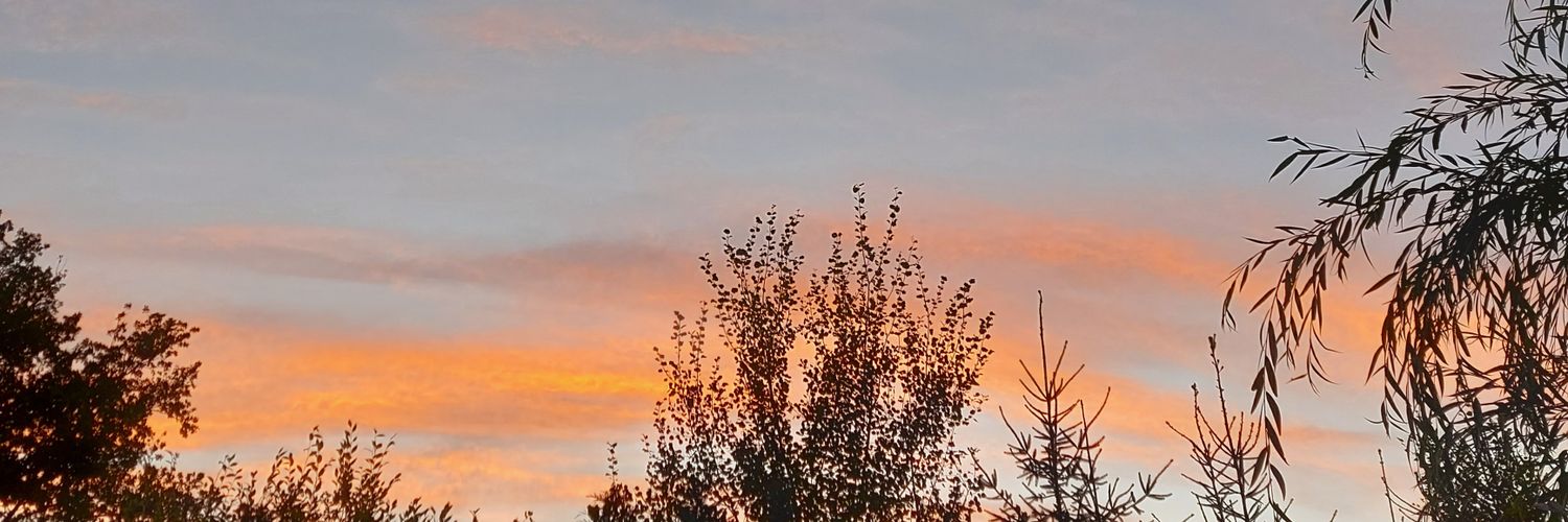 Angie banner